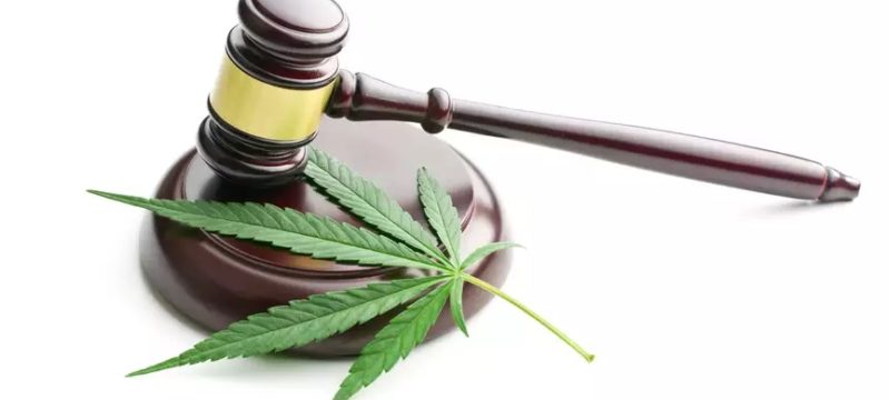 Cannabis : Certains articles de la Loi québécoise invalidé par la Cour supérieure